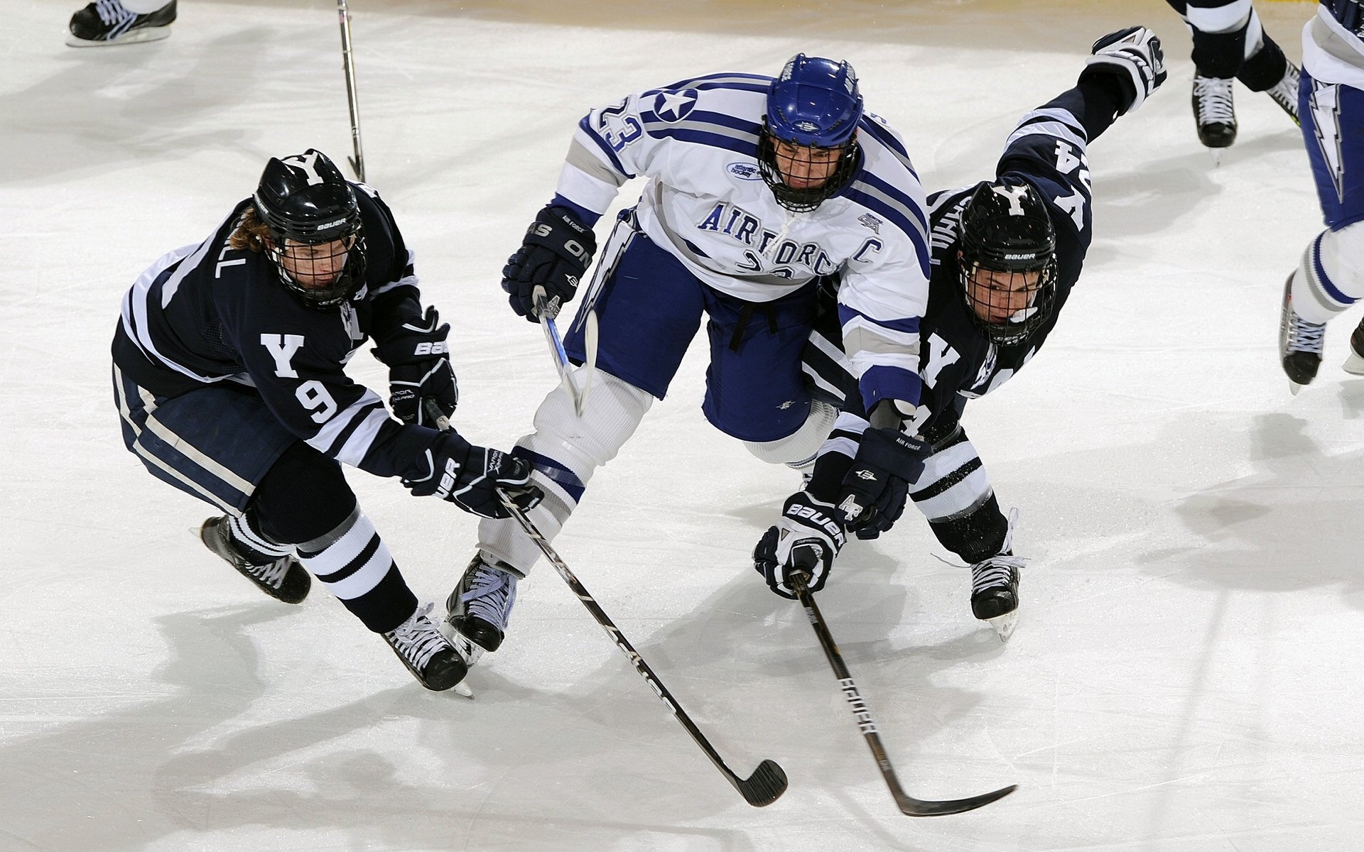 开云 官网 入口-大数据分析服务进入省队训练营，大数据集中训练营